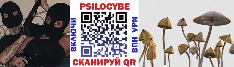 blacksprut онион  наркошоп  Унеча  Галлюциногенные грибы GOLDEN TEACHER 